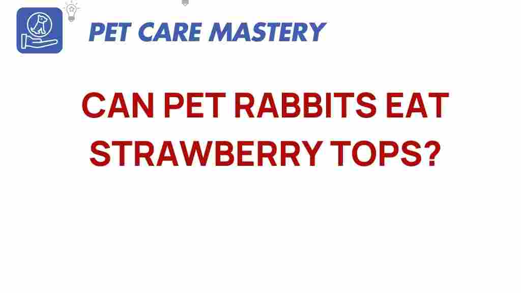 pet-rabbits-strawberry-tops