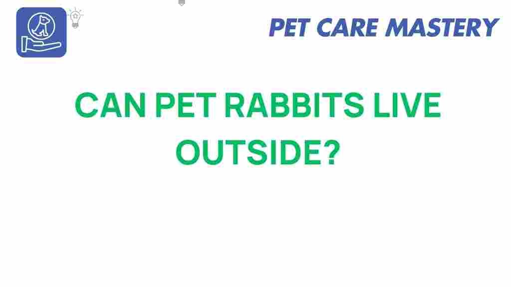 can-pet-rabbits-live-outside