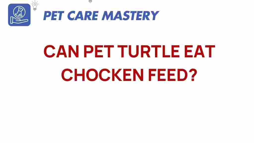 can-pet-turtles-eat-chicken-feed