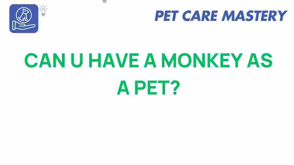 can-you-have-a-monkey-as-a-pet