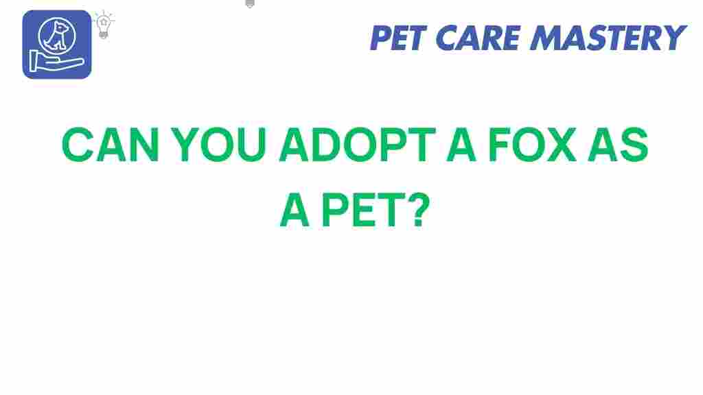 adopting-a-fox-pet