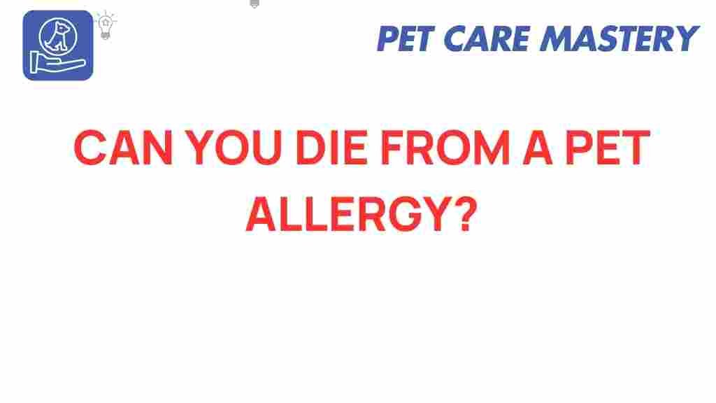 pet-allergies-hidden-dangers