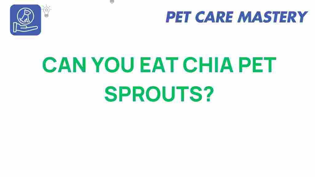 chia-pet-sprouts