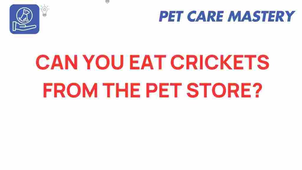 crickets-edible-insects-pet-store