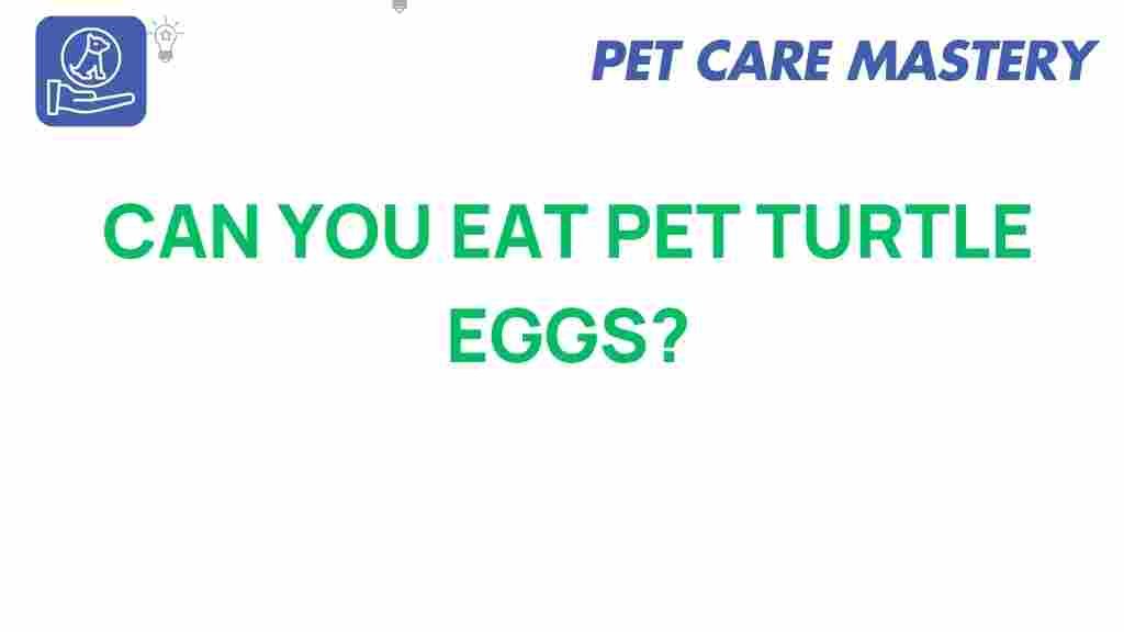 turtle-eggs-consumption
