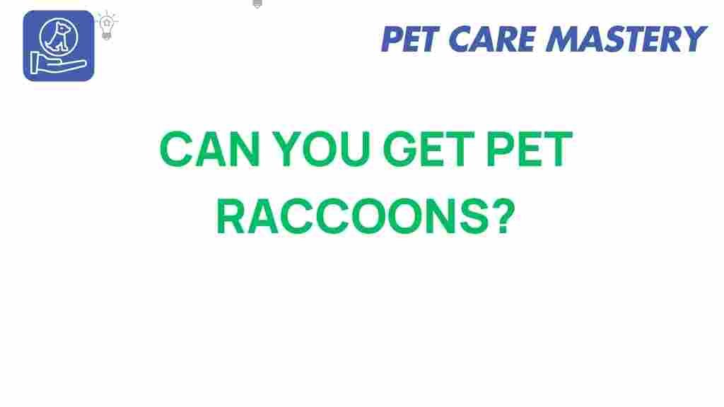 pet-raccoons-exotic-pet-ownership