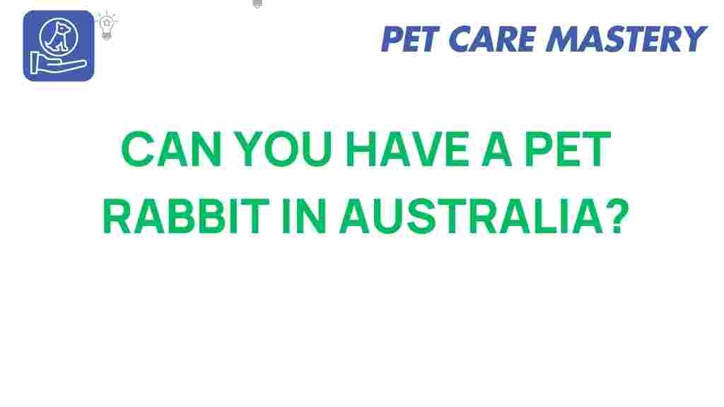 pet-rabbits-in-australia