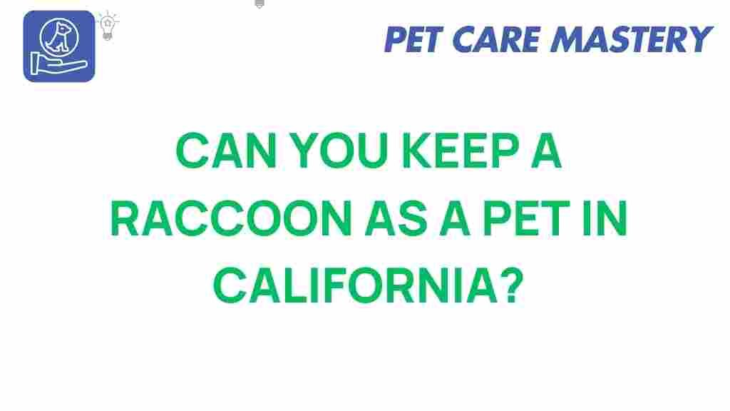 raccoon-pet-laws-california