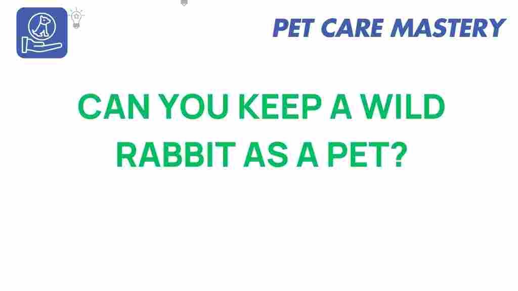 wild-rabbits-as-pets