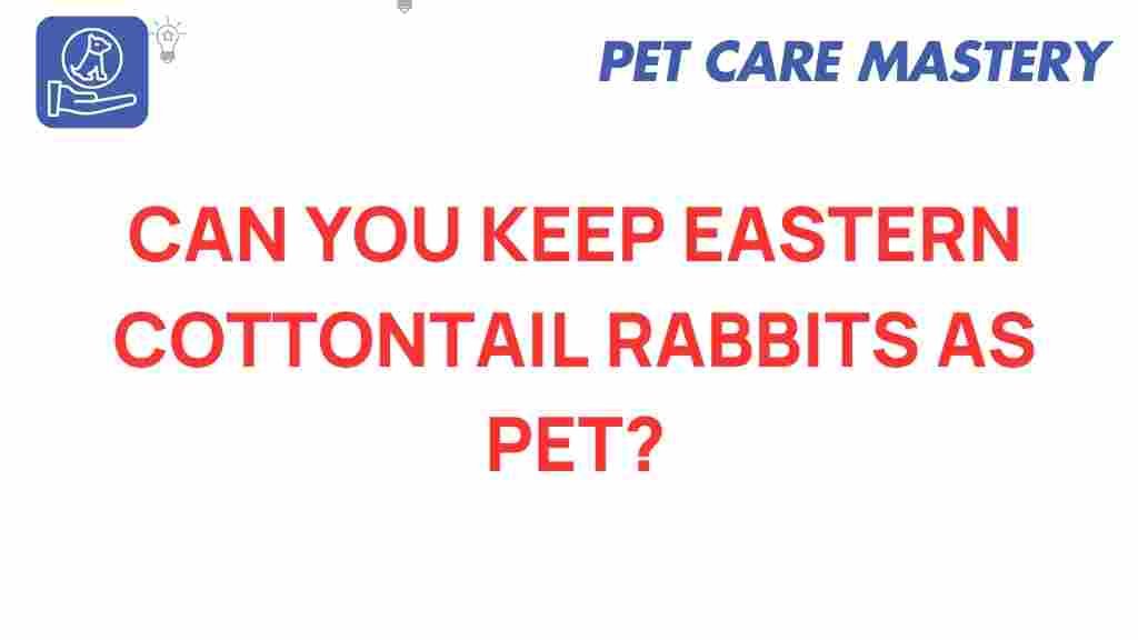 eastern-cottontail-rabbits-as-pets