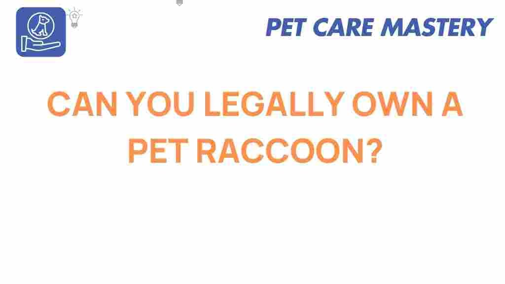 pet-raccoon-ownership