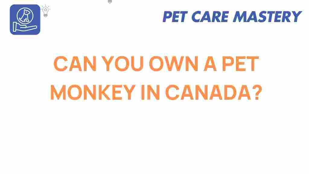 pet-monkey-ownership-canada