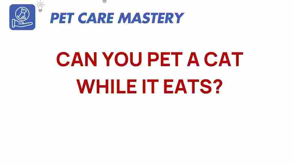 petting-cats-while-eating