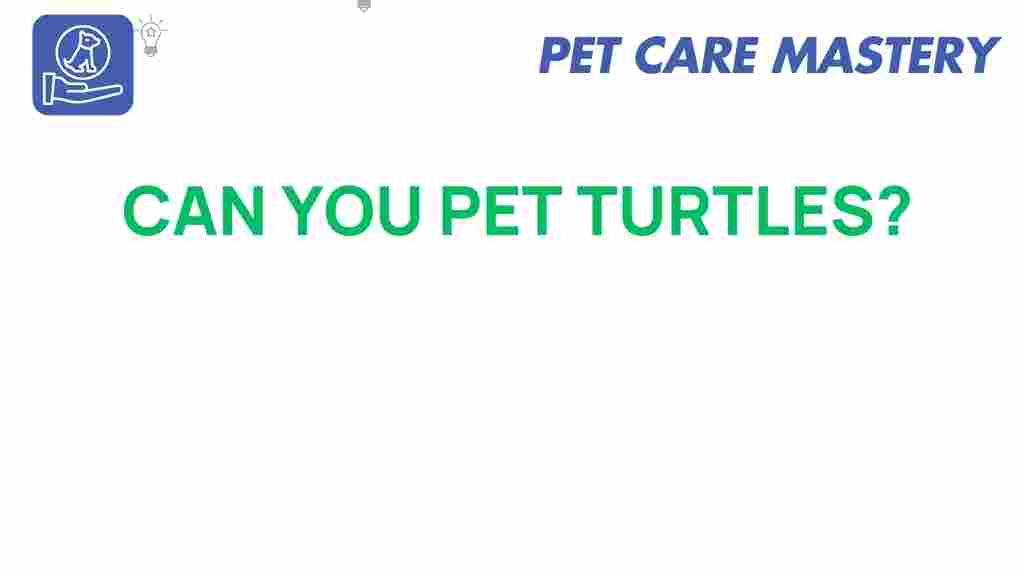 can-you-pet-turtles