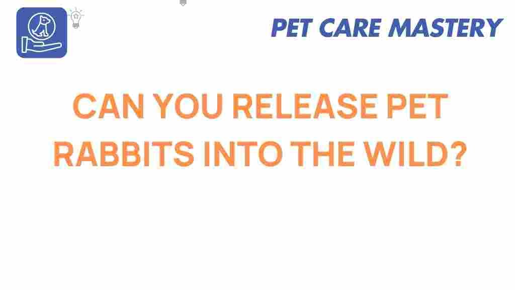 pet-rabbits-release-into-wild