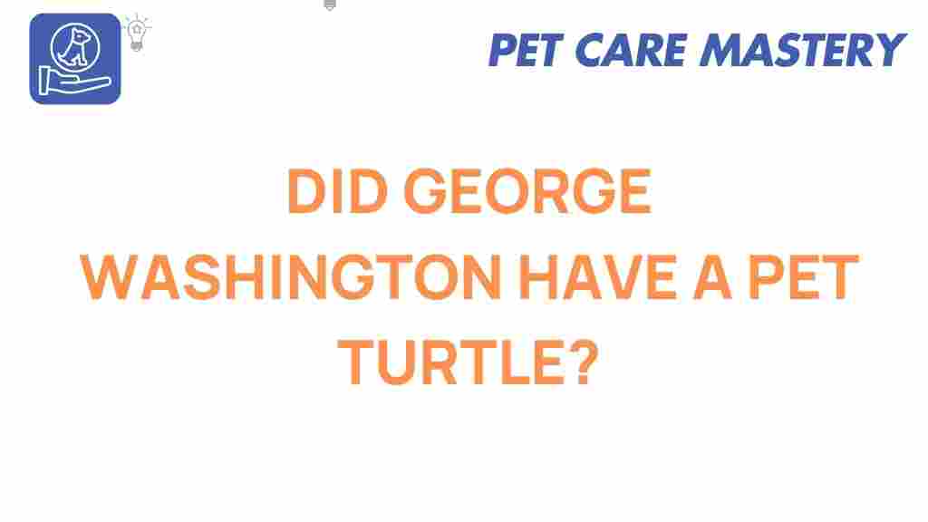 george-washington-pet-turtle