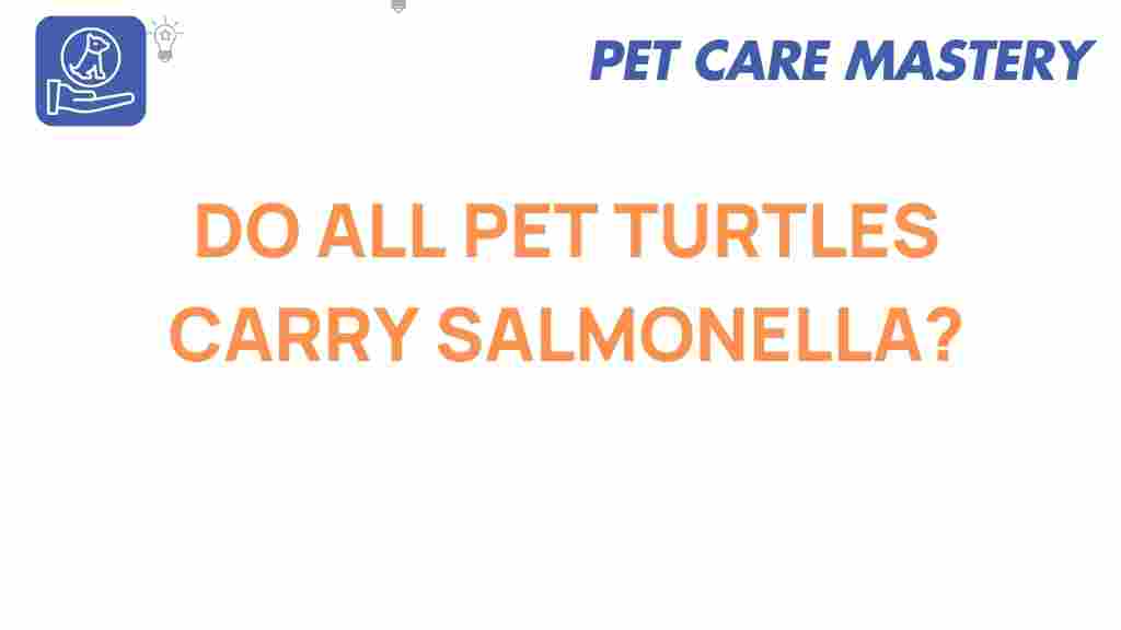 do-all-pet-turtles-carry-salmonella