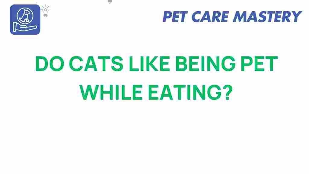 do-cats-like-being-petted-while-eating