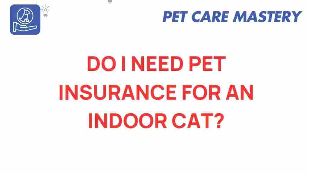 pet-insurance-indoor-cat