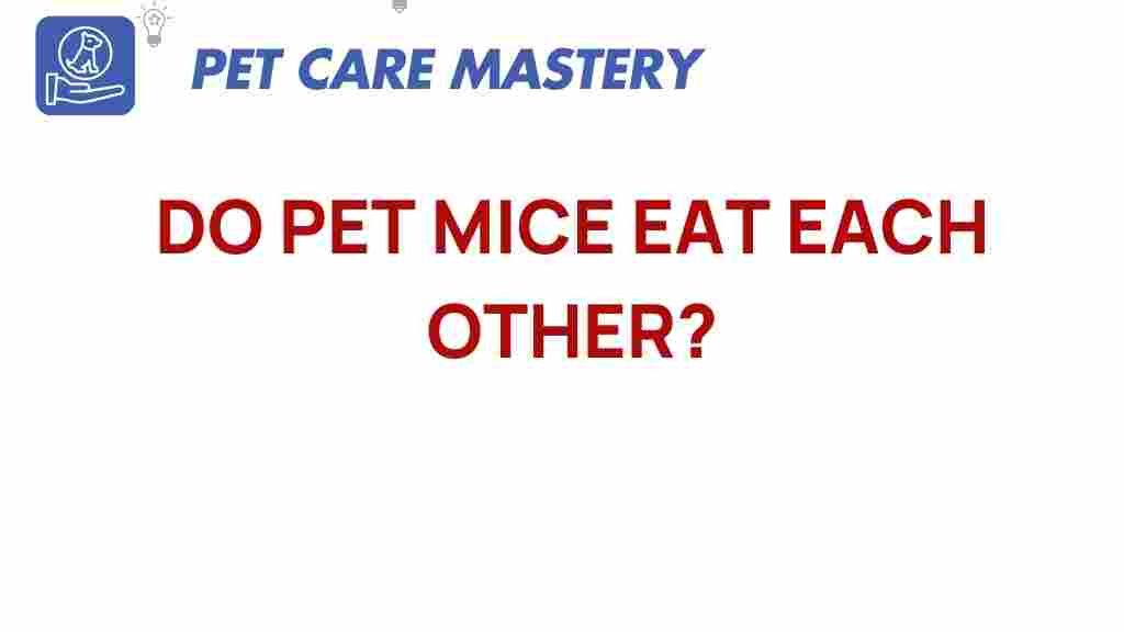 pet-mice-eat-each-other