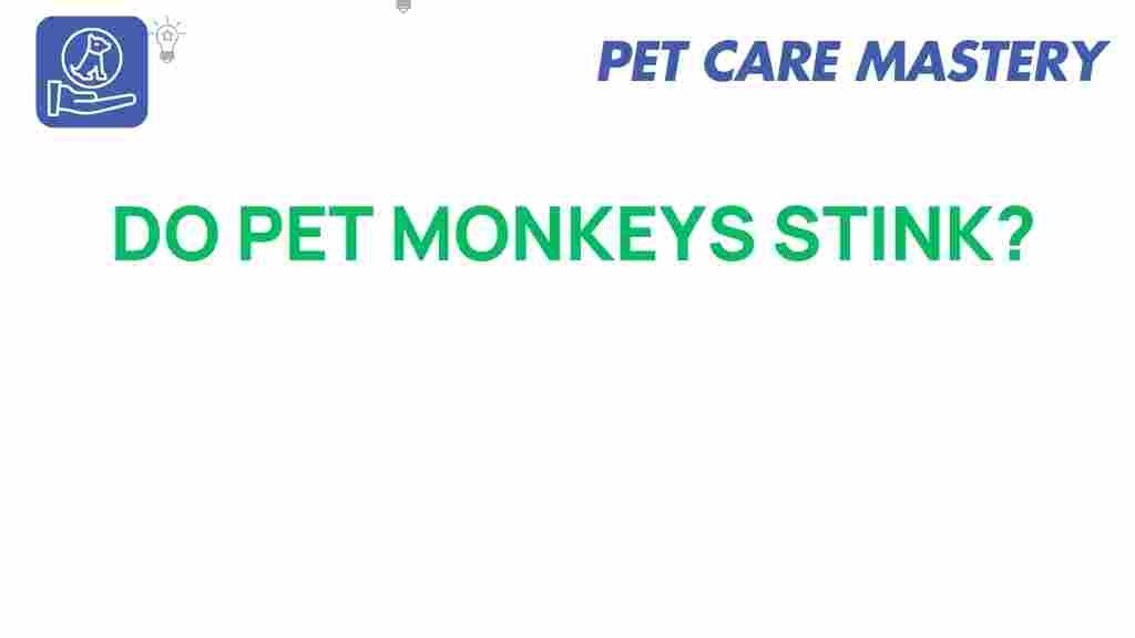 do-pet-monkeys-stink