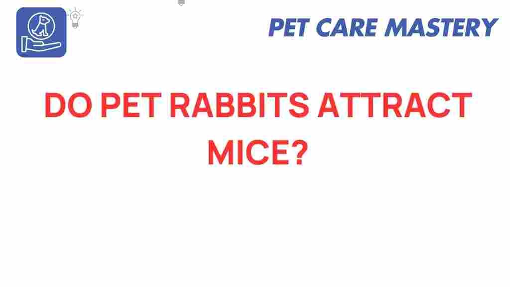 do-pet-rabbits-attract-mice