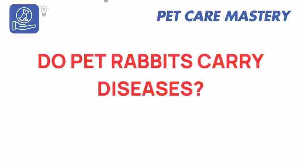 pet-rabbits-carry-diseases