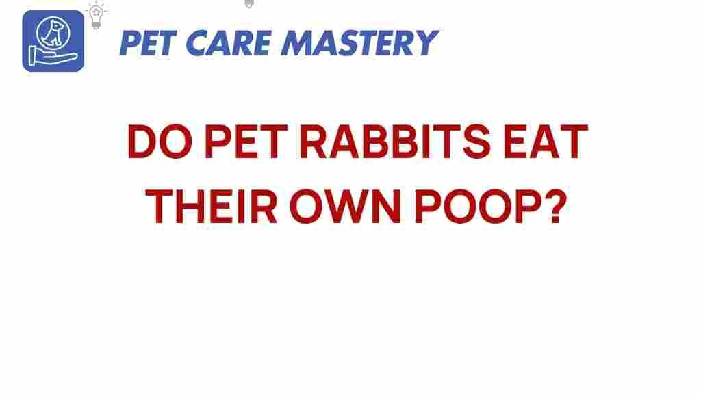 pet-rabbits-eat-poop