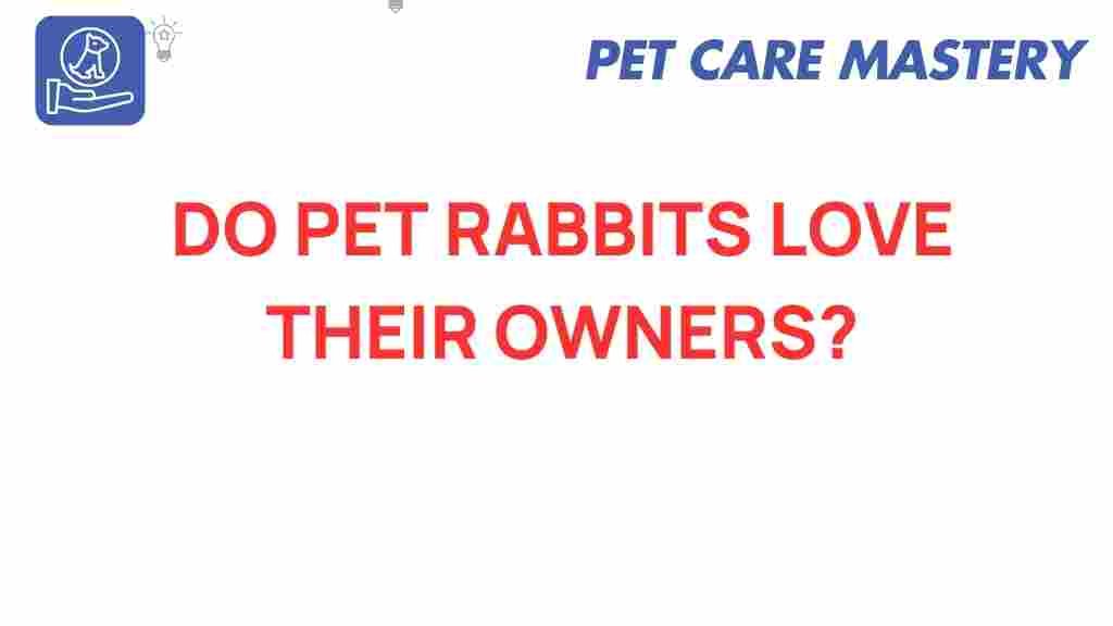 pet-rabbits-bonding-truth