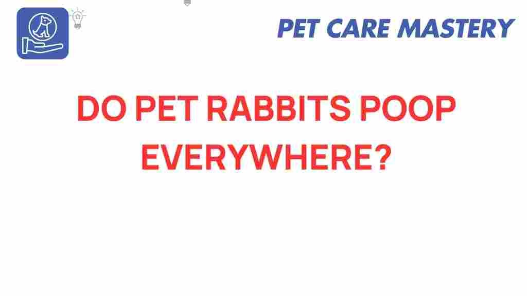 do-pet-rabbits-poop-everywhere