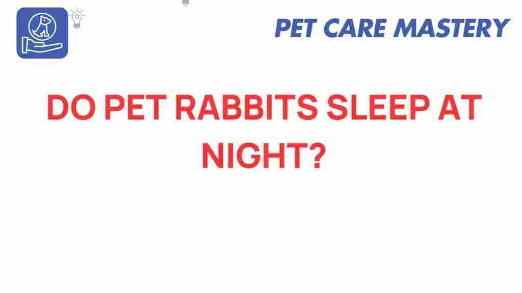 do-pet-rabbits-sleep-at-night
