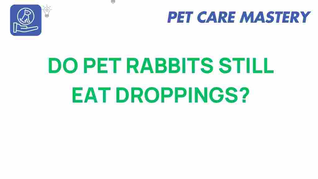 pet-rabbits-eat-droppings