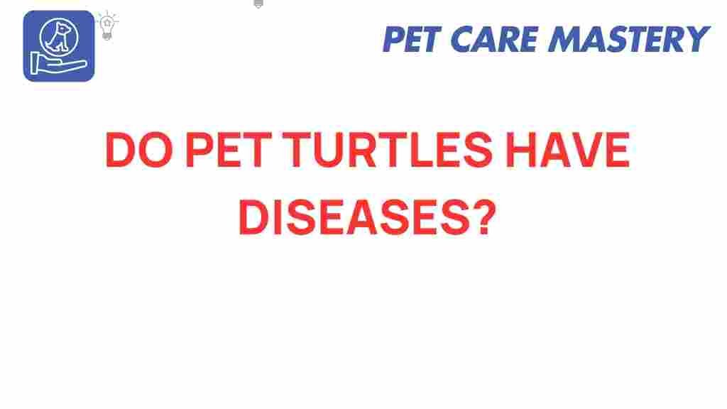 pet-turtles-diseases