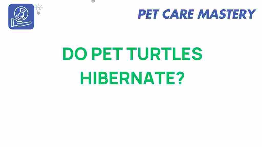 do-pet-turtles-hibernate