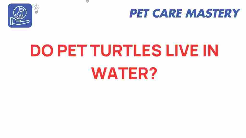 do-pet-turtles-thrive-in-water