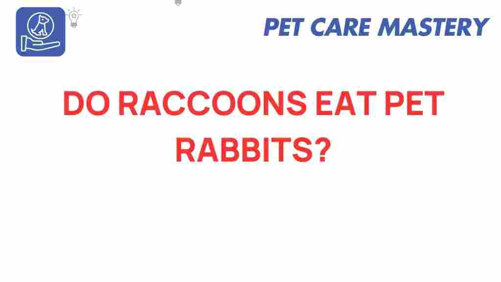 raccoons-threat-pet-rabbits