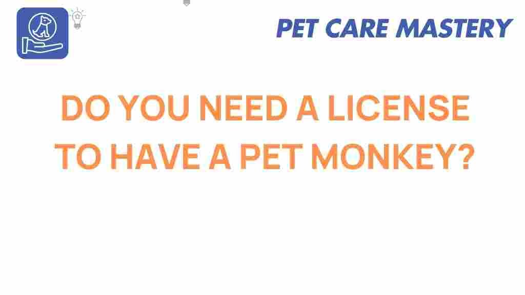 pet-monkey-licensing-requirements