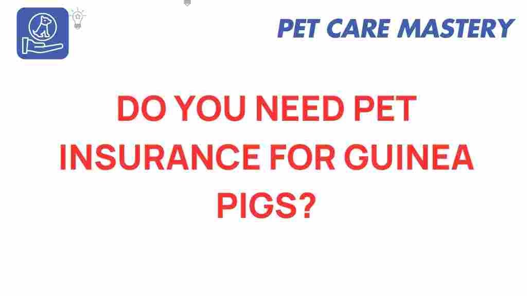 pet-insurance-guinea-pigs