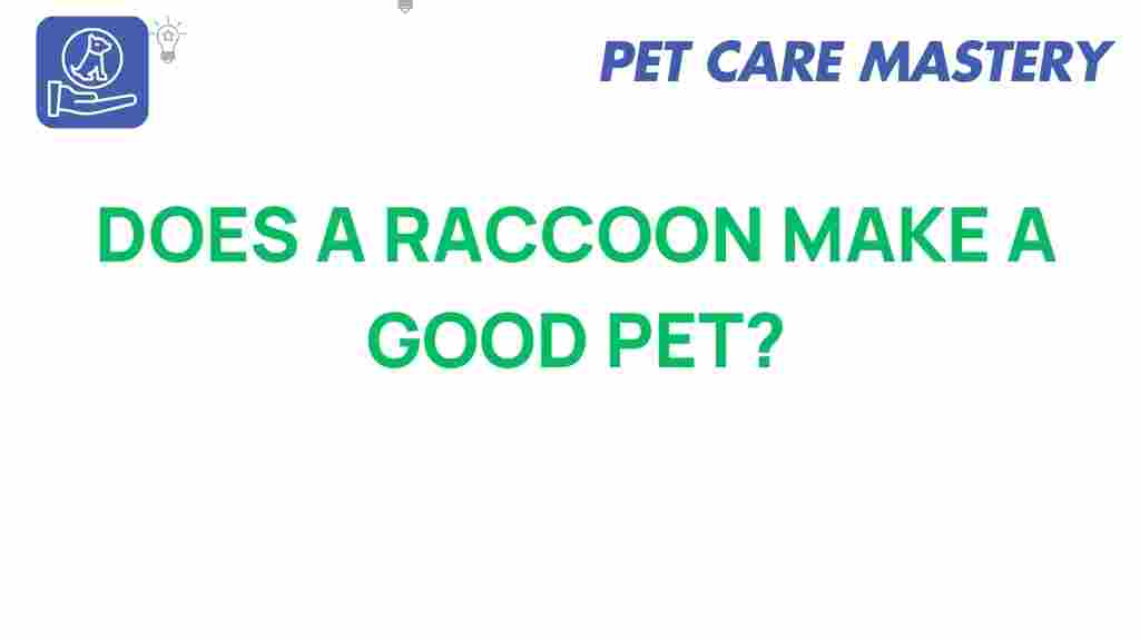 raccoon-good-pet