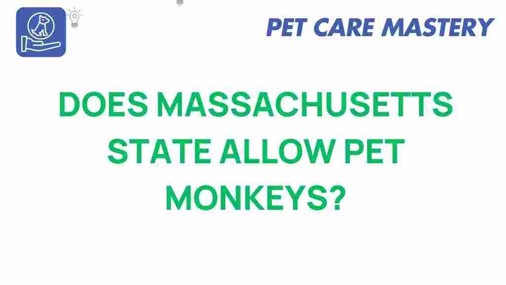 pet-monkeys-massachusetts-laws
