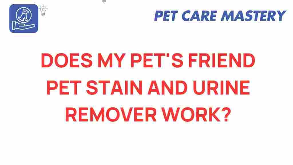 pet-stain-remover-truth