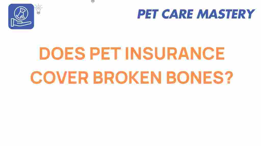 pet-insurance-broken-bones