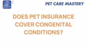 Unraveling the Mystery: Does Pet Insurance Cover Congenital Conditions?