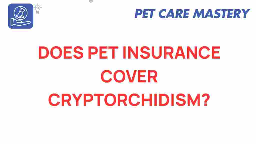 pet-insurance-cryptorchidism