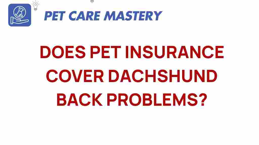 pet-insurance-dachshund-back-problems