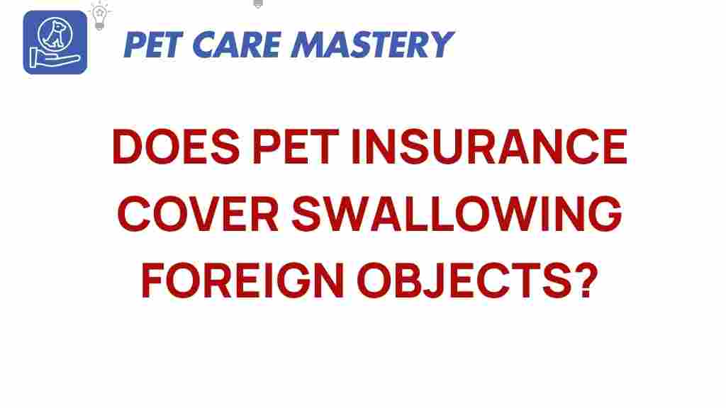 pet-insurance-foreign-objects