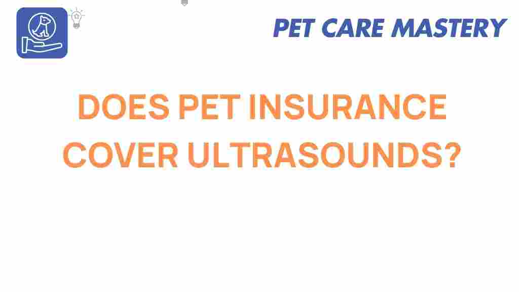 pet-insurance-ultrasounds