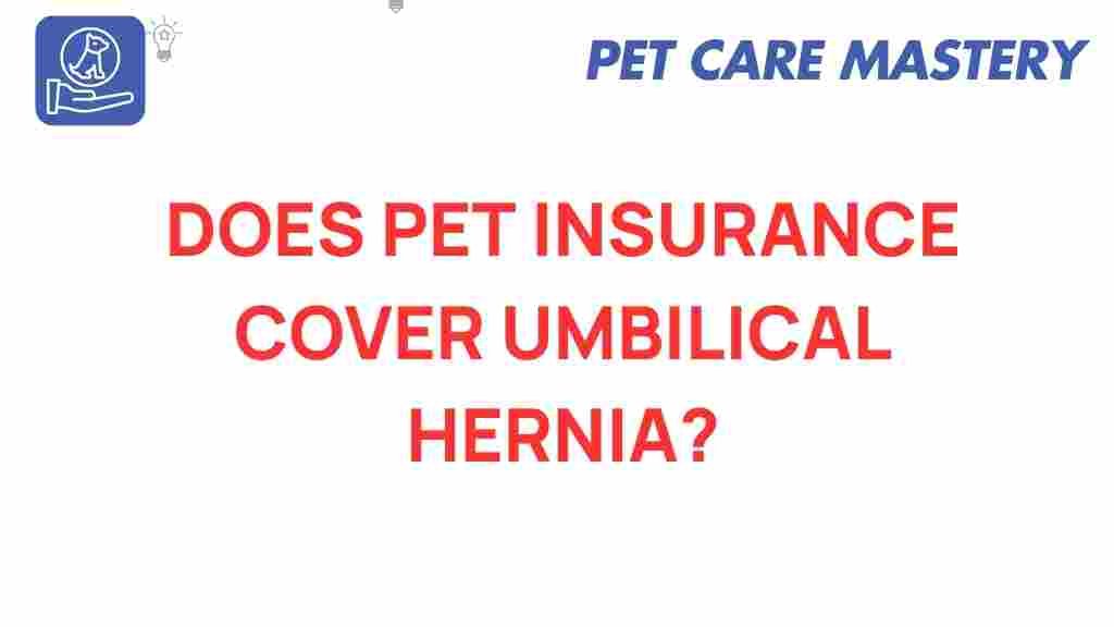 pet-insurance-umbilical-hernia