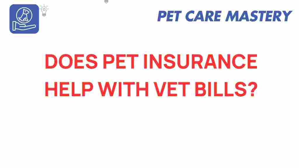 pet-insurance-vet-bills