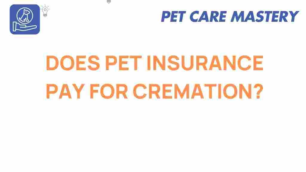 pet-insurance-cremation